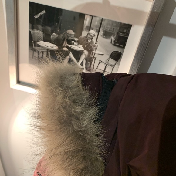 DANIER - Genuine leather Burgundy coat with Coyote Fur - Picture 11 of 12